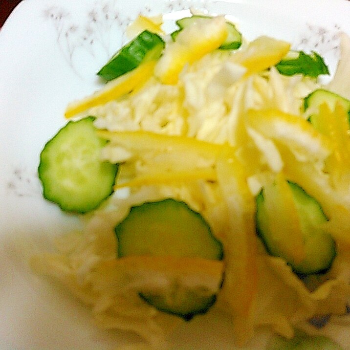 柚子ときゅうりキャベツのサラダ